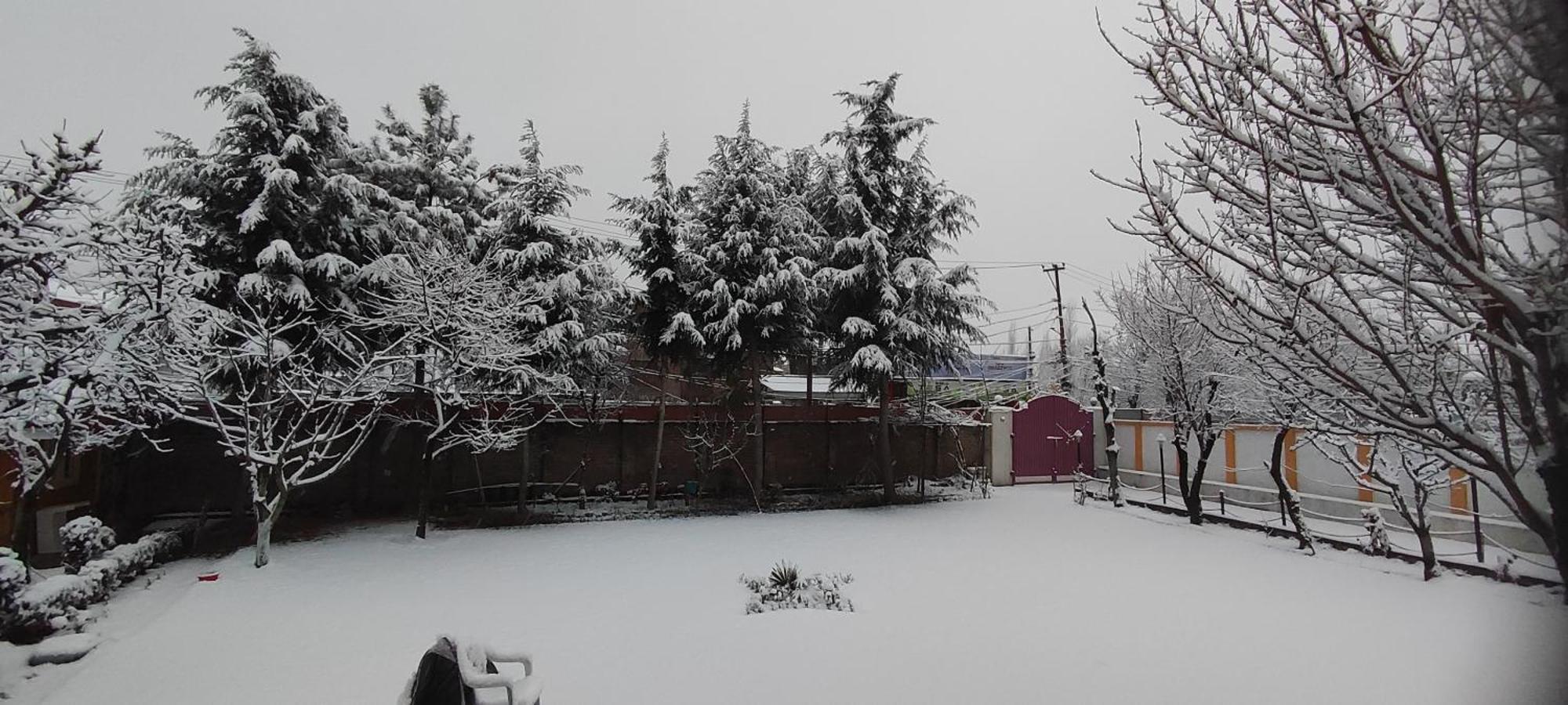 The Clover Inn Srinagar  Luaran gambar