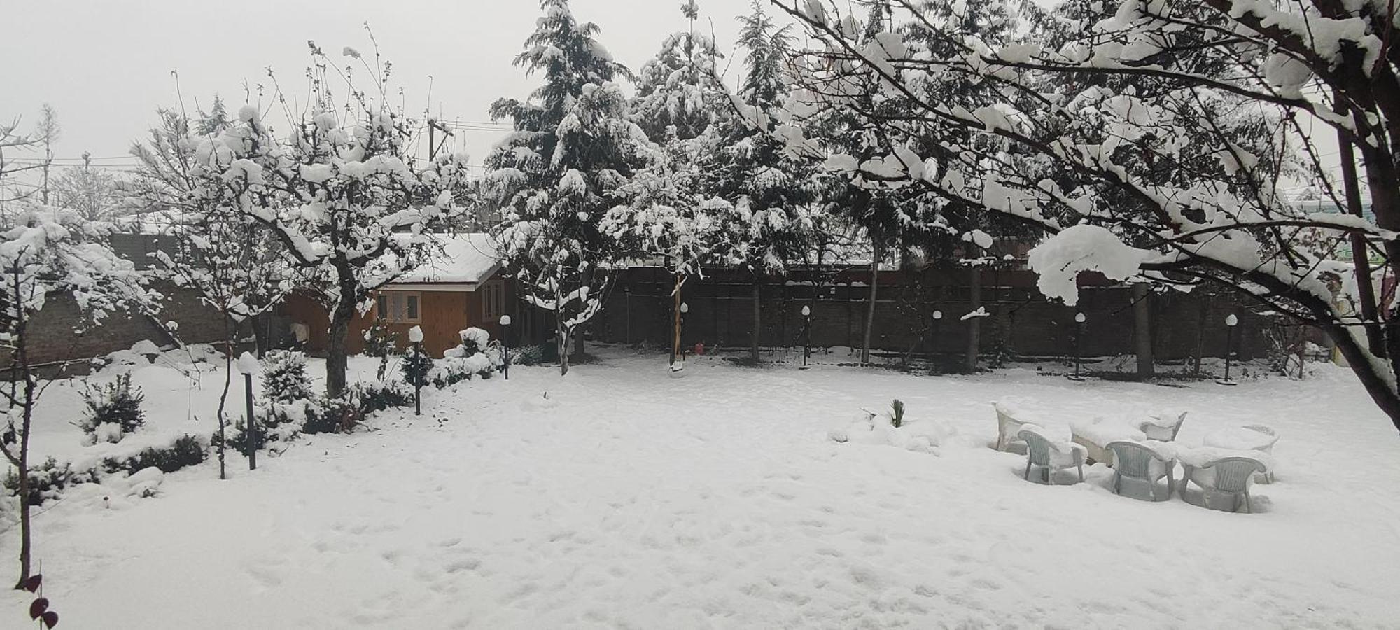 The Clover Inn Srinagar  Luaran gambar