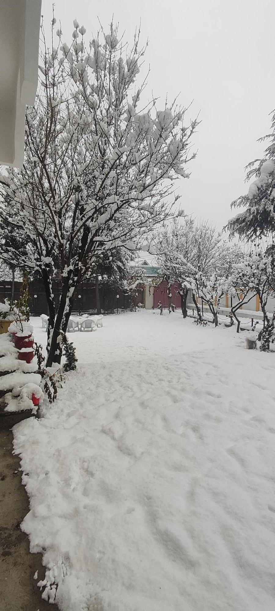 The Clover Inn Srinagar  Luaran gambar